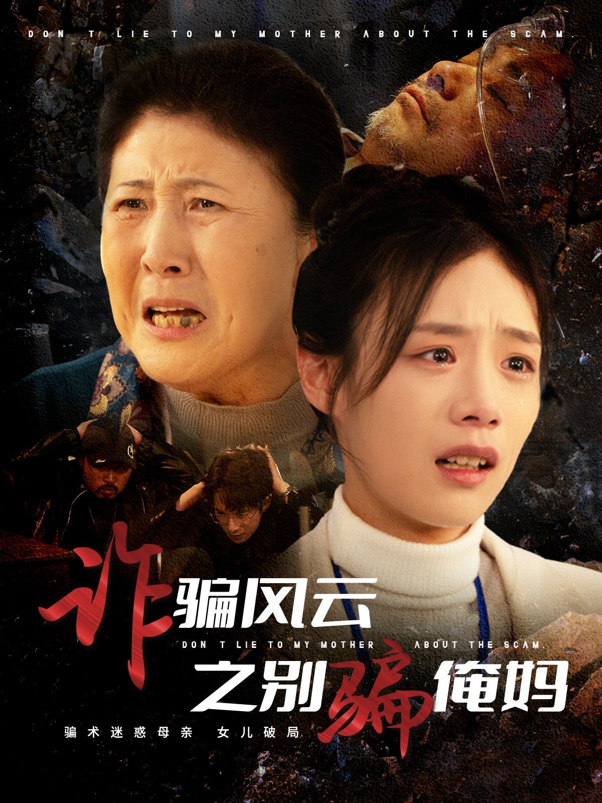 诈骗风云之别骗俺妈第1-20集