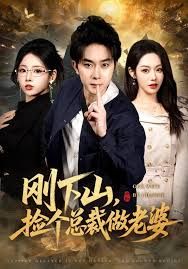 刚下山捡个总裁做老婆(全集)