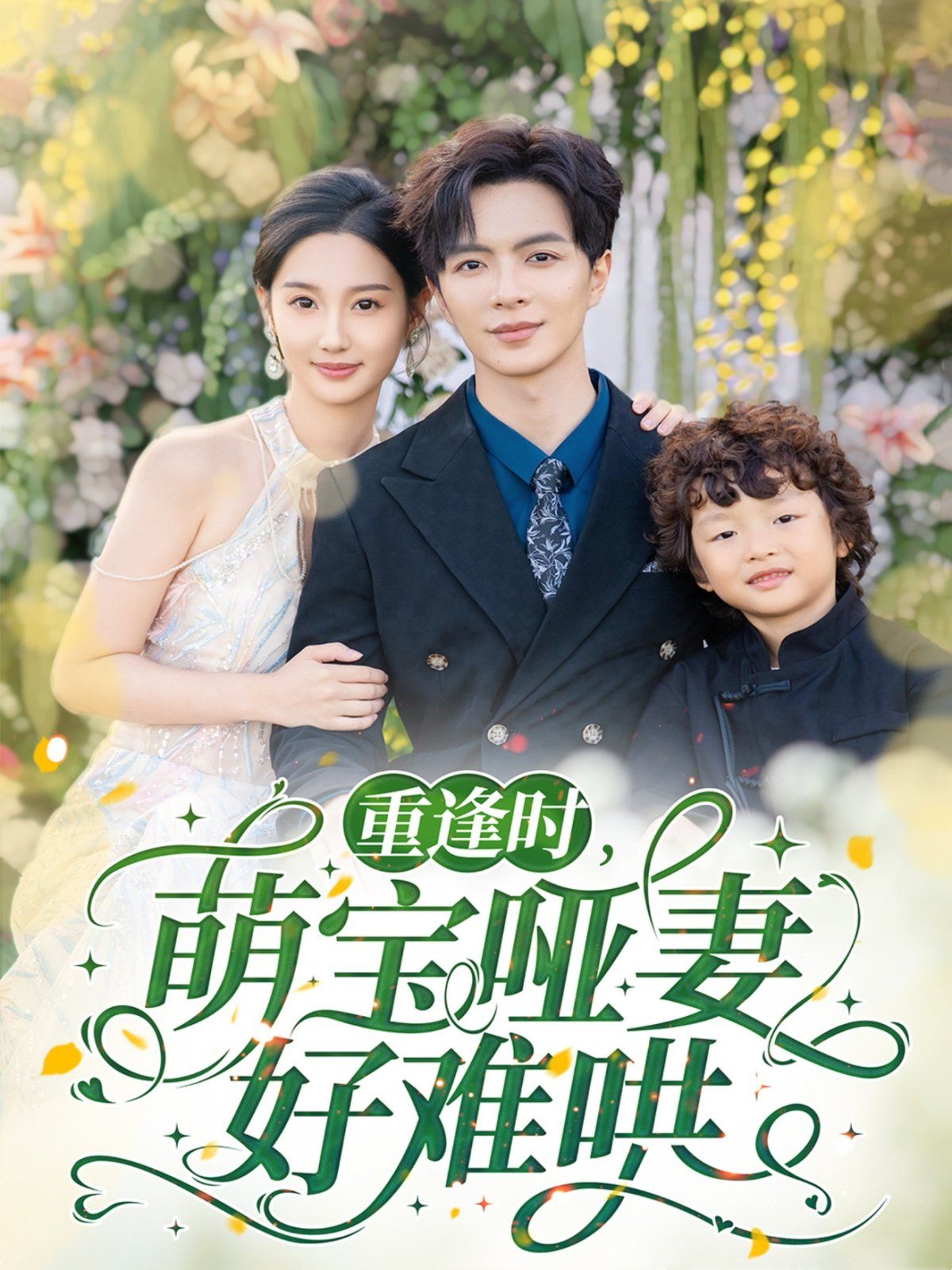 重逢时萌宝哑妻好难哄第1-30集