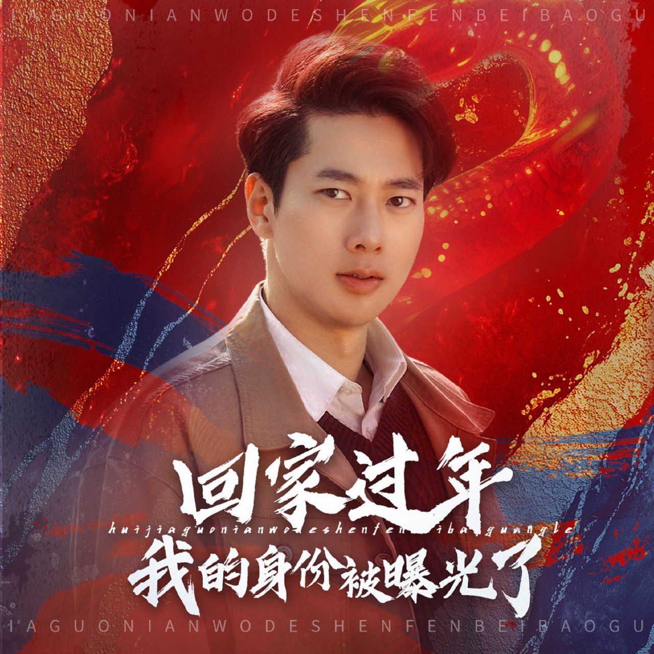 回家过年我的身份被曝光了第1-20集