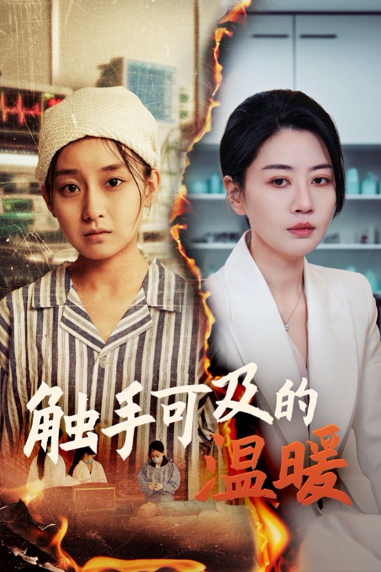 触手可及的温暖第1-20集