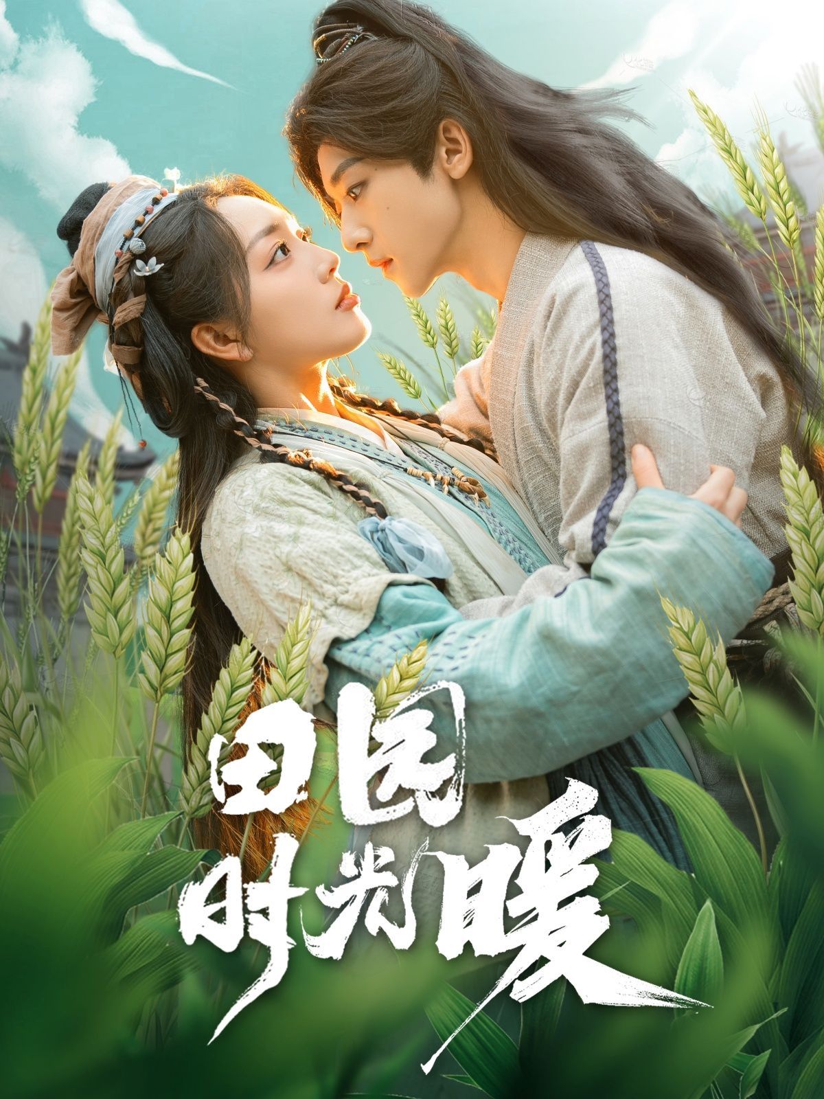 田园时光暖第1-20集