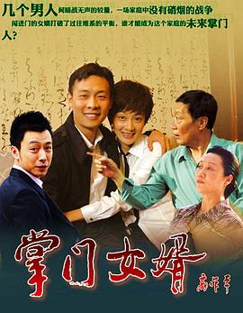 掌门女婿全集