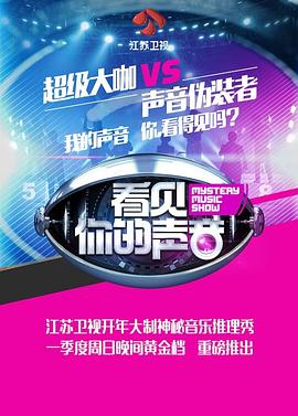 看见你的声音全集