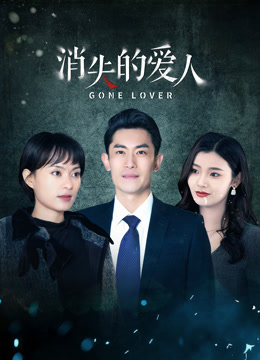 消失的爱人全集