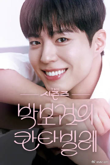 朴宝剑的Cantabile全集