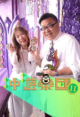 冲游泰国11全集